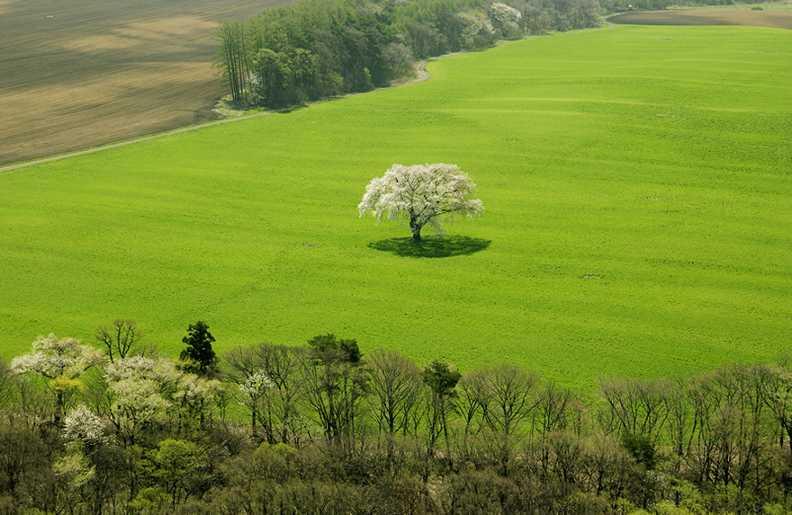 雄飛航空の空撮写真