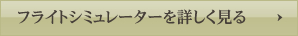 フライトシミュレーターを詳しく見る