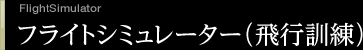 フライトシミュレーター（飛行訓練）